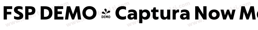 FSP DEMO - Captura Now Medium字体转换